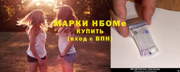 стаф Новозыбков