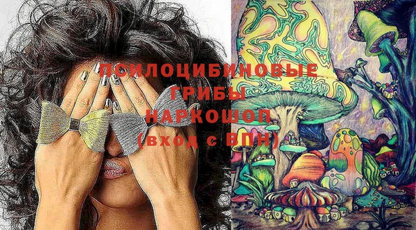 гашик Алексеевка