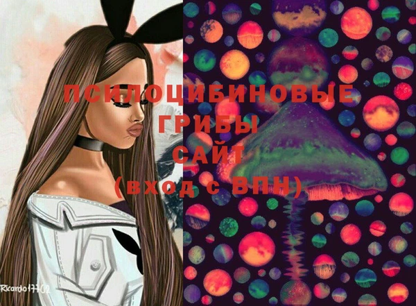 гашик Алексеевка
