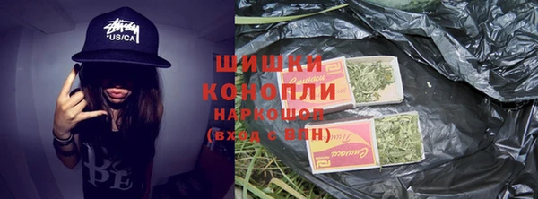 гашик Алексеевка